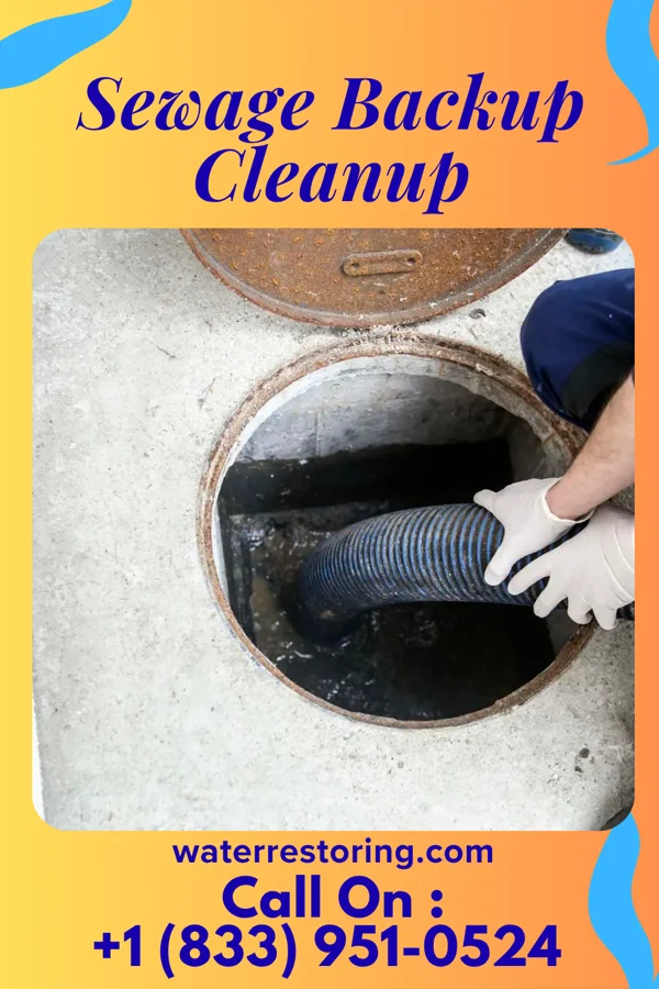 Sewage Backup Cleanup in Miami, FL